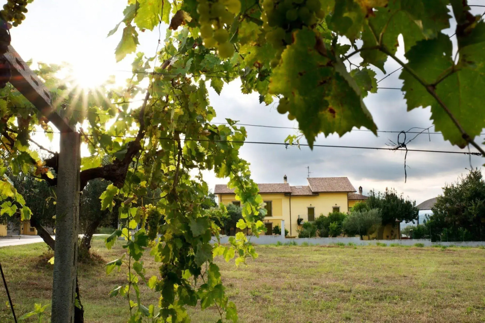 Agriturismo Il Casolare Di Nonno Mario
