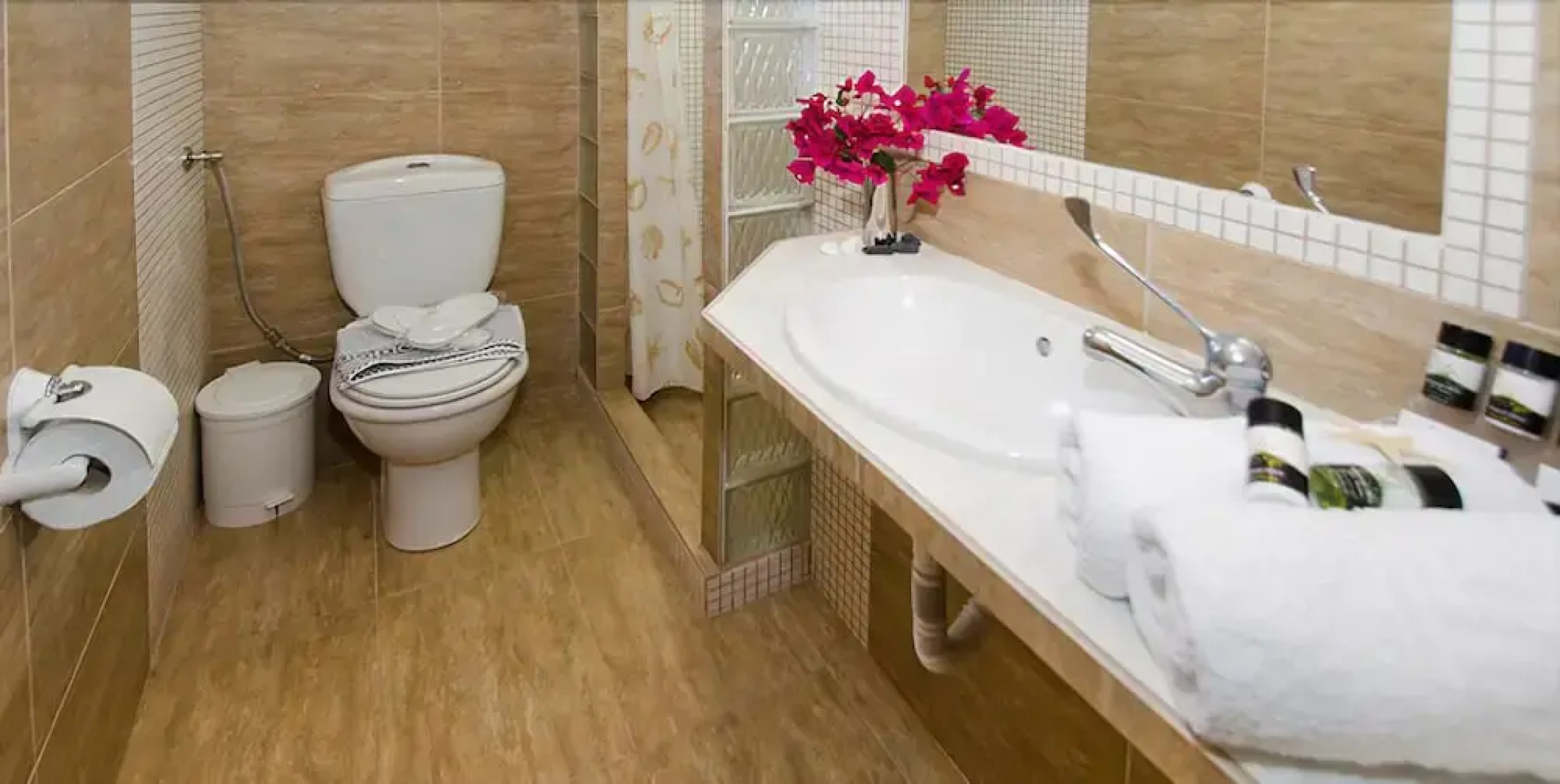 Villa Mina Apartments