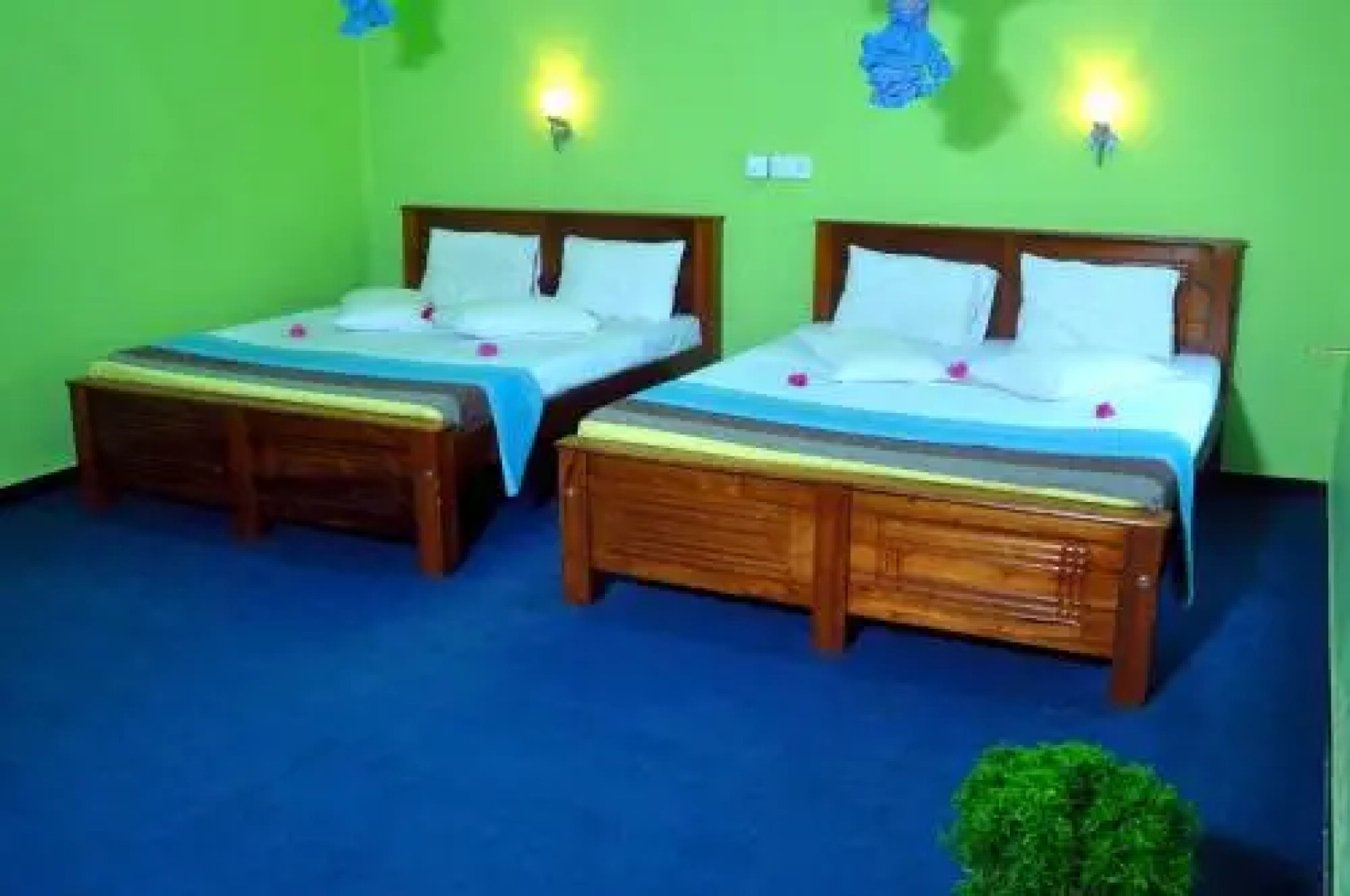 Elephant safari bungalow