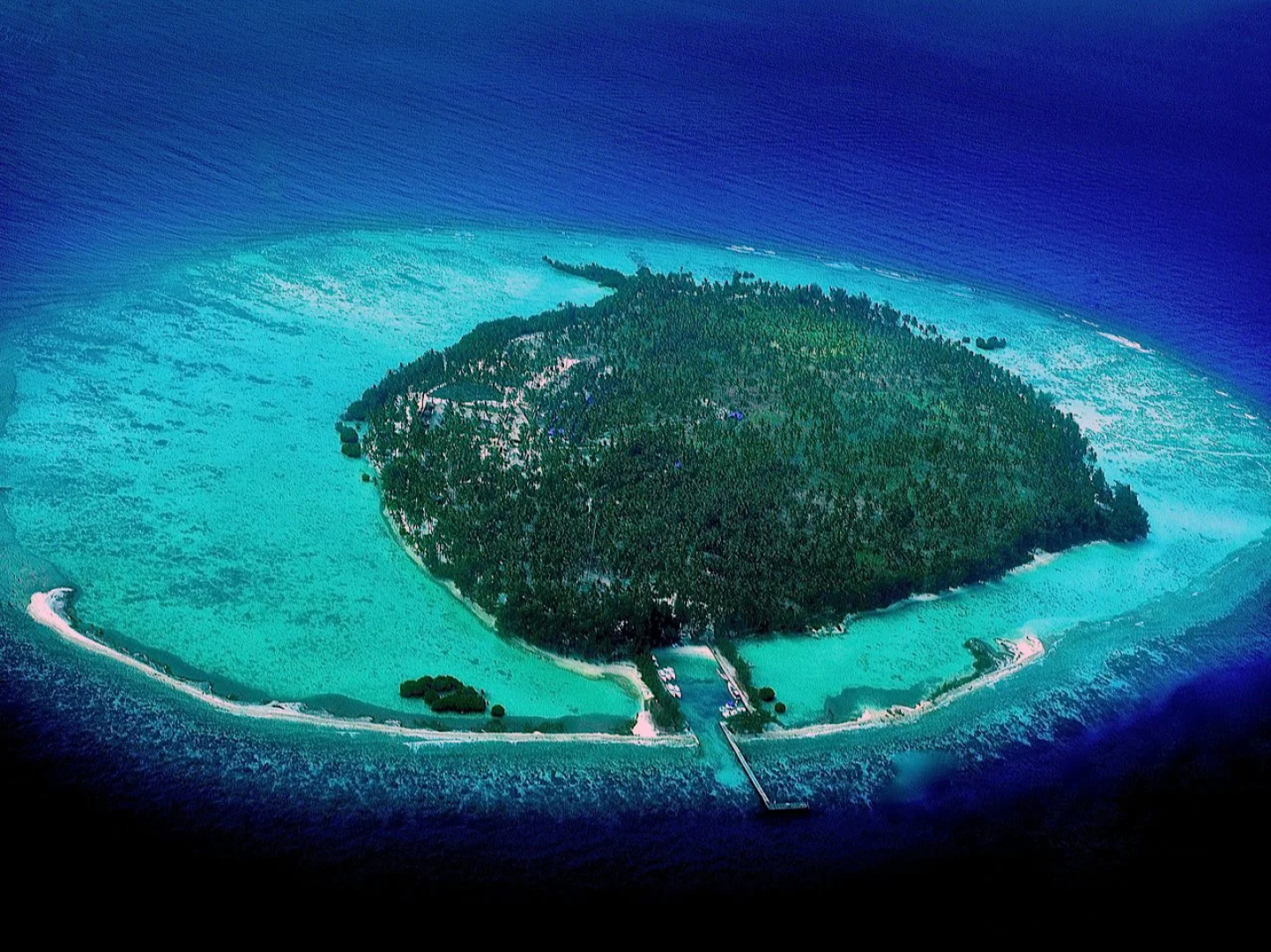 Kura Kura Resort