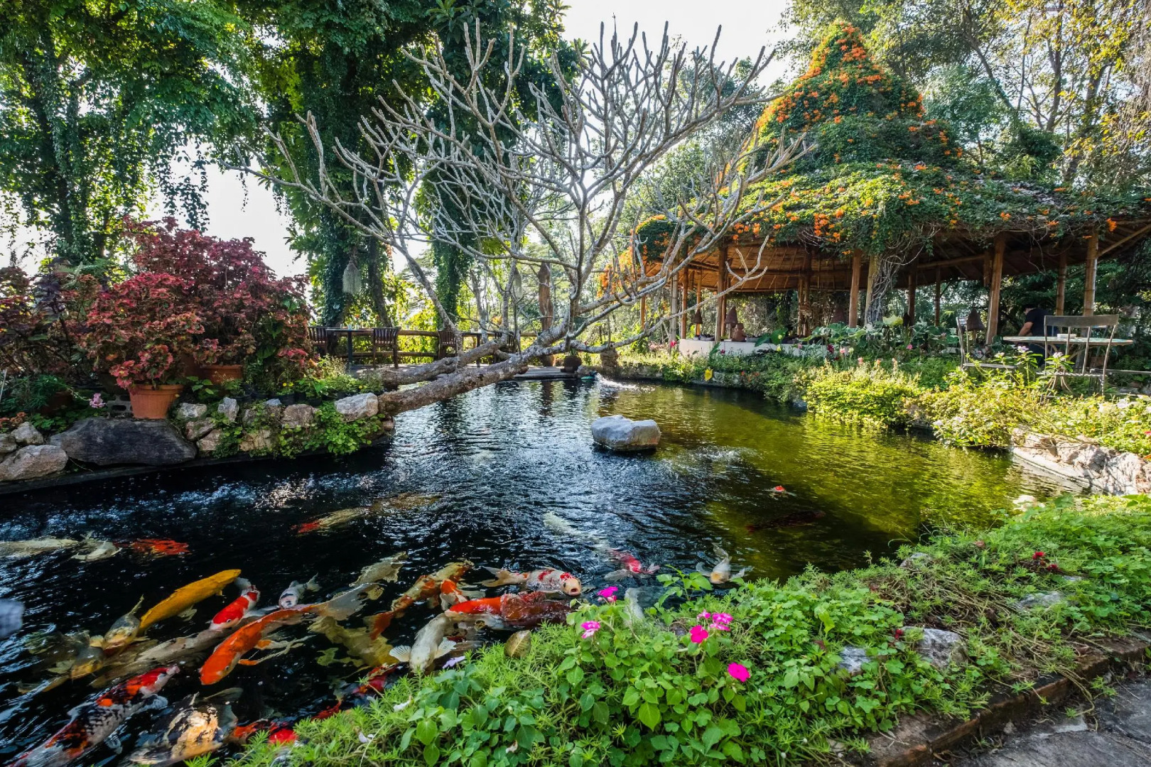 Phu Chaisai Chiang Rai Mountain Resort