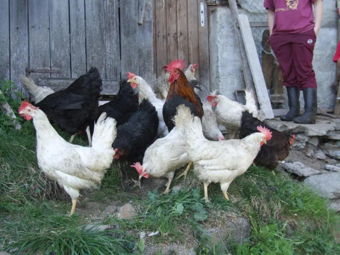 Ferienwohnung Lehenhof