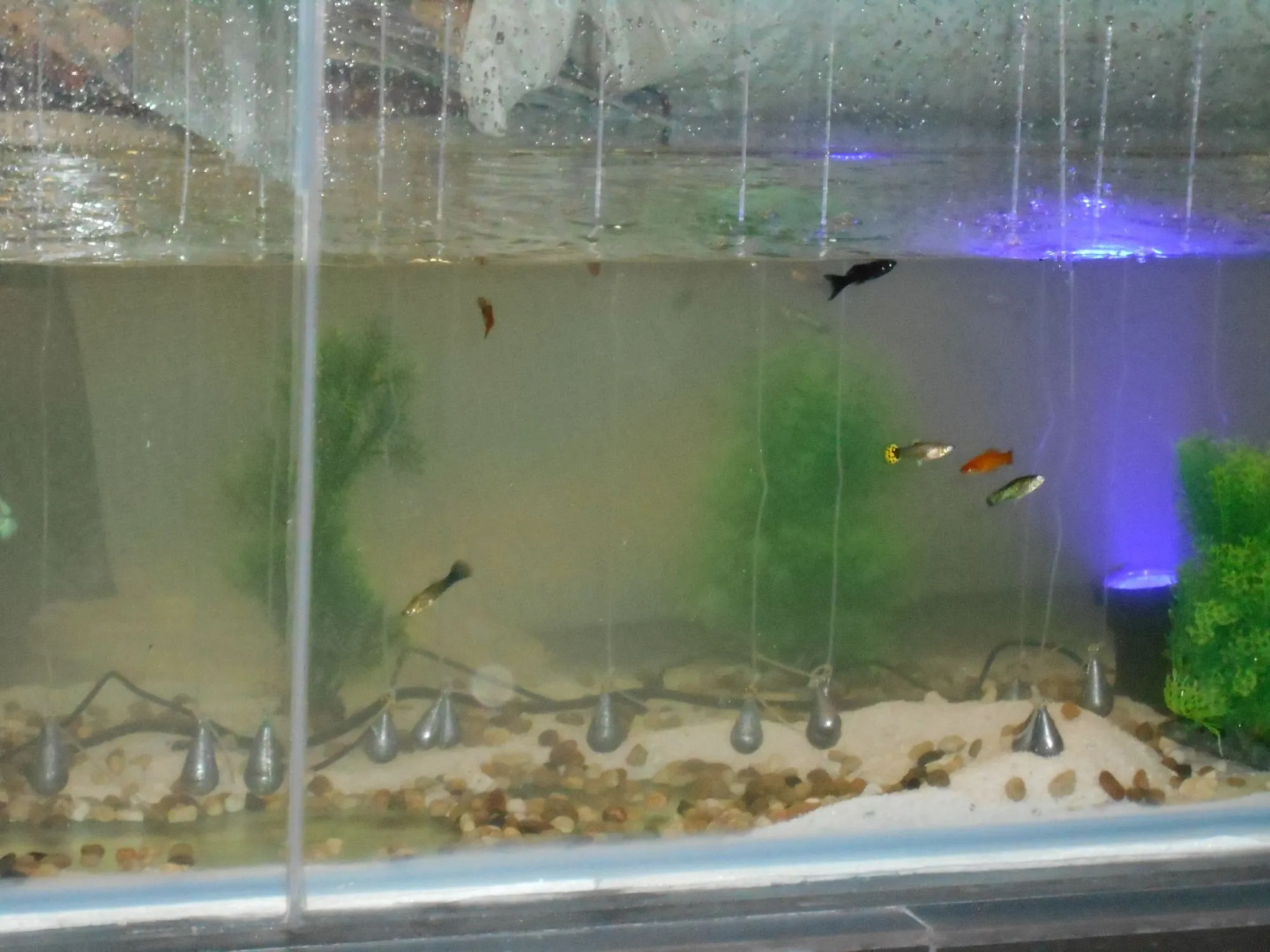 De Grand Boutique Hotel