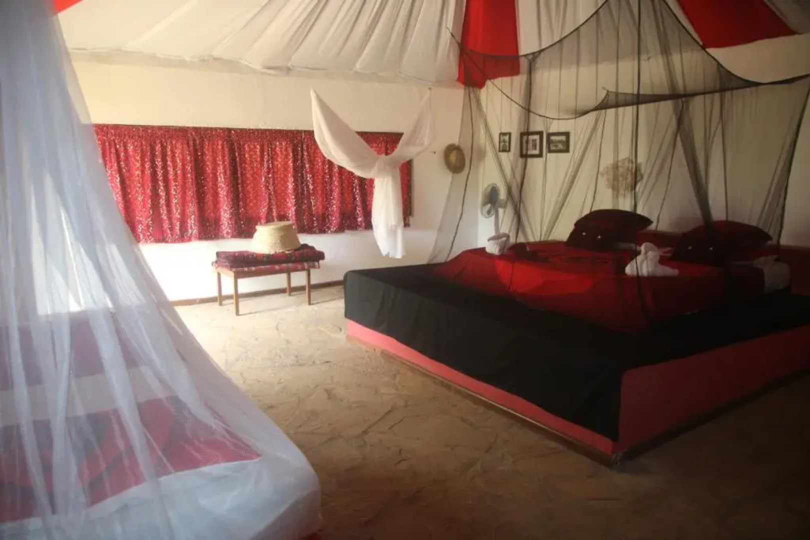 Gecko Nature Lodge & Swahili Divers