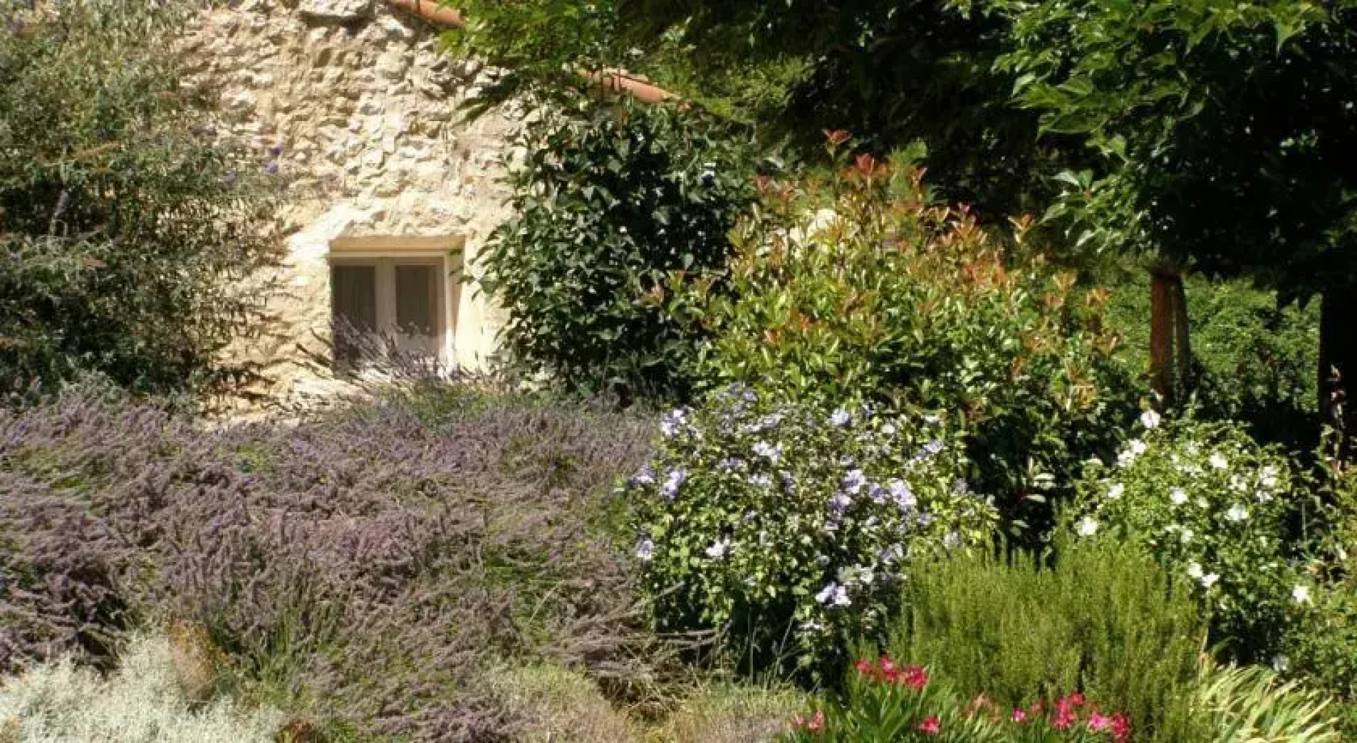 Gite Le Beylier- Iris