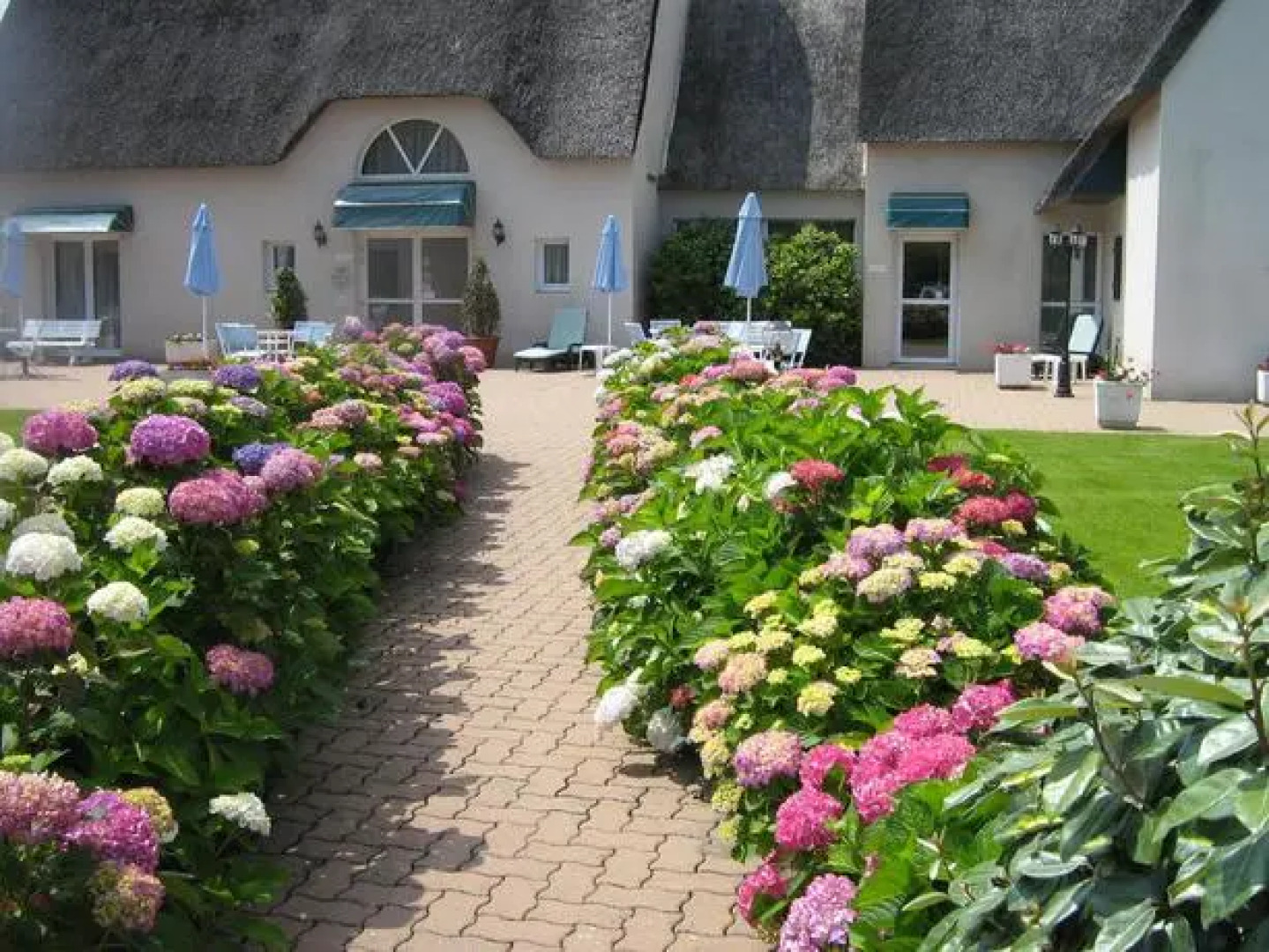 Logis Hôtel Les Chaumières Du Lac Rest. Les Typhas