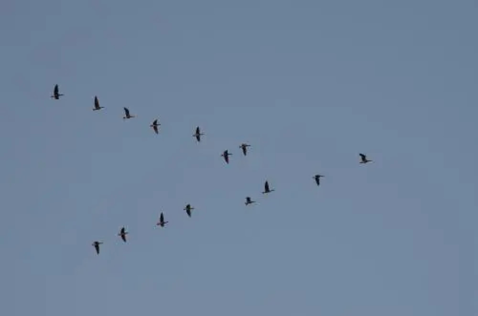 База активного отдыха Славянское подворье