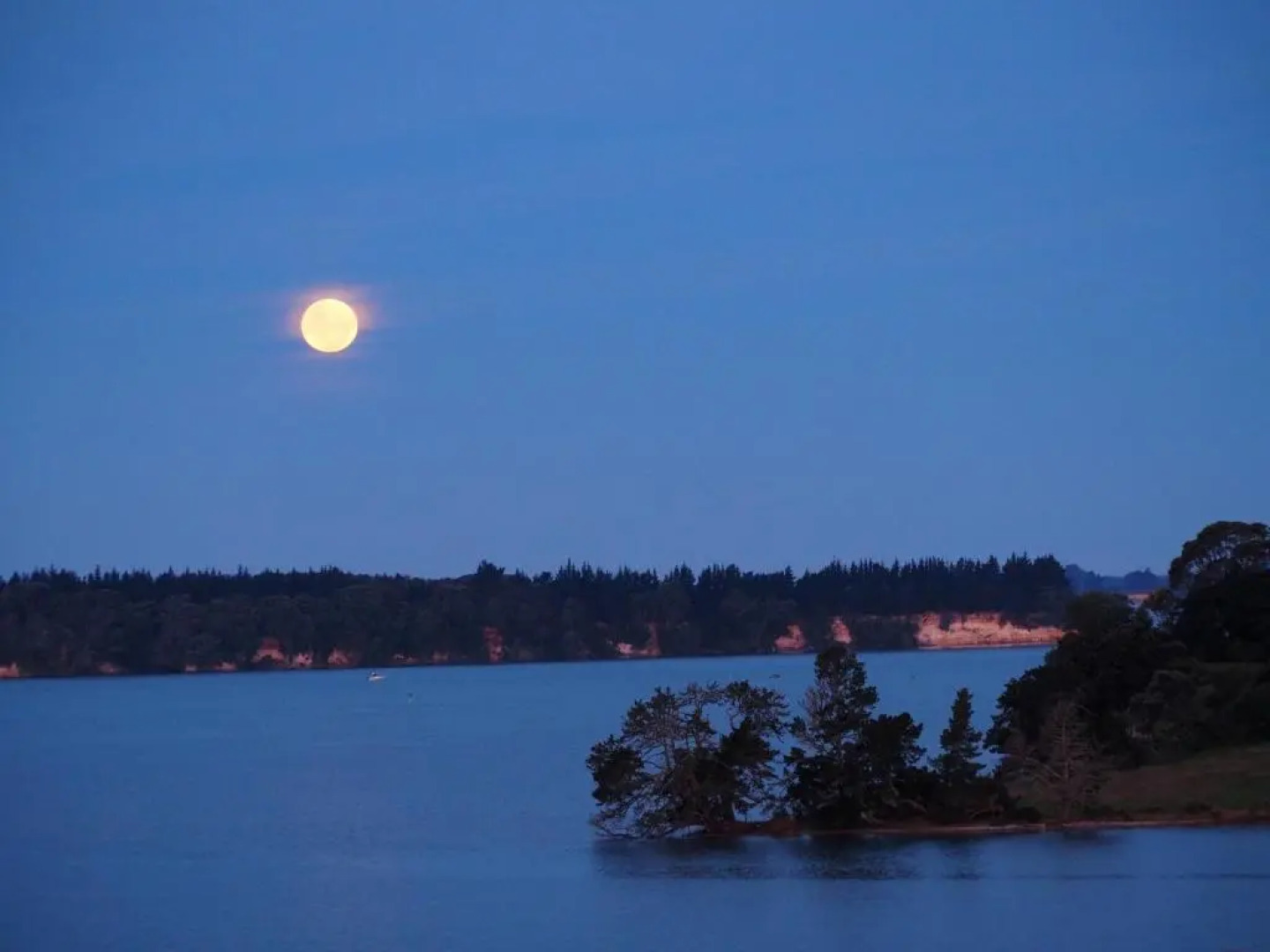 Omokoroa Sea View Apartment