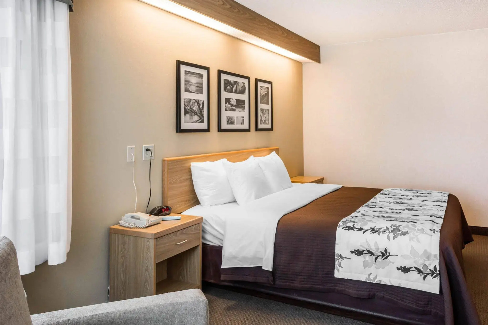 Spark by Hilton Lynchburg