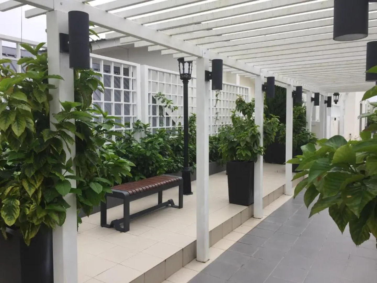 Cameron 2Room Square @Golden Hill