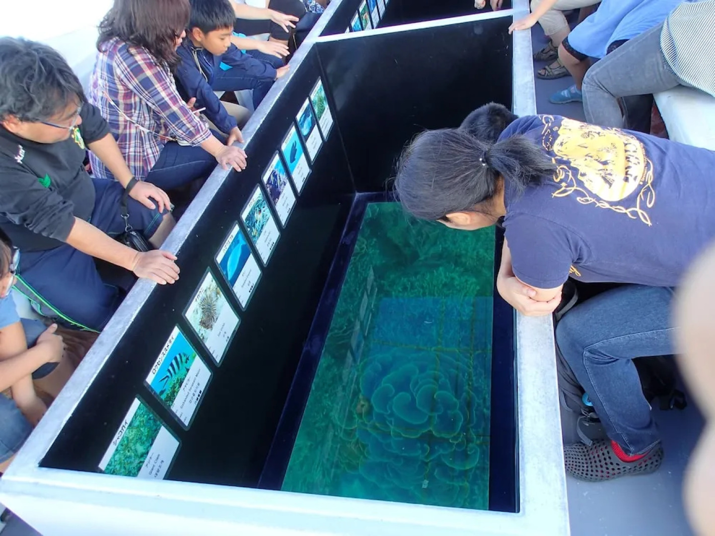 Kariyushi LCH Resort