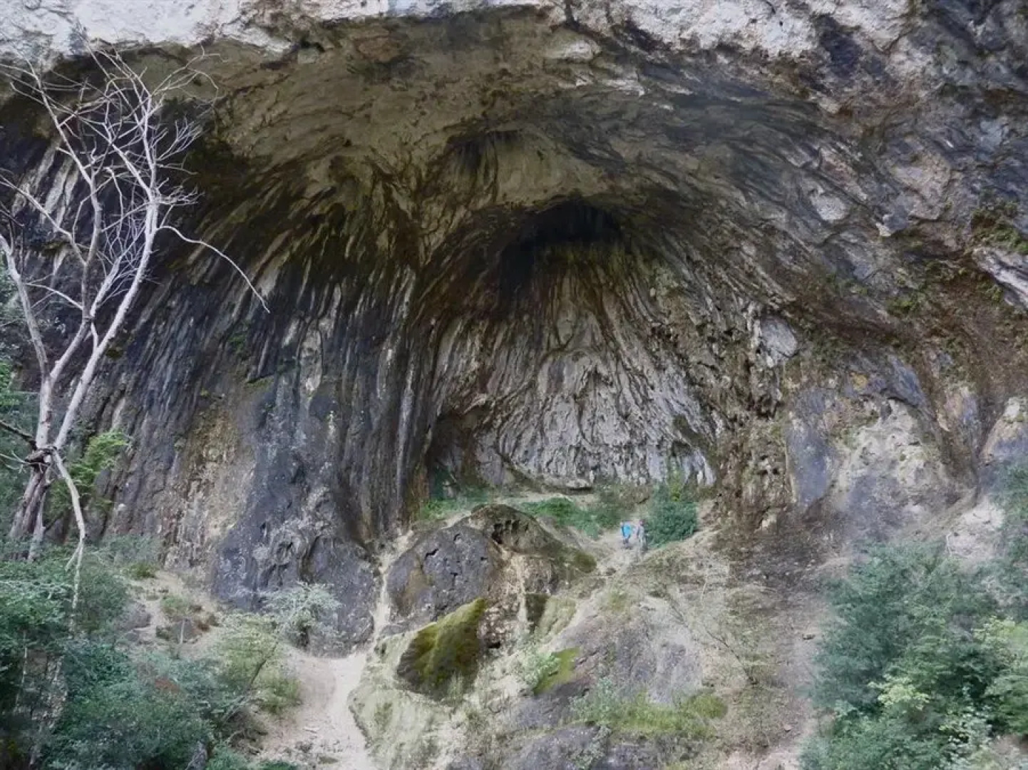 Somianatura Alberg - Turisme Rural