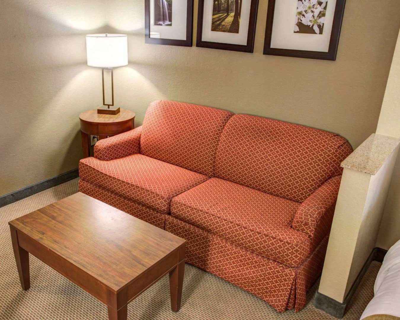 Comfort Suites Gadsden Attalla
