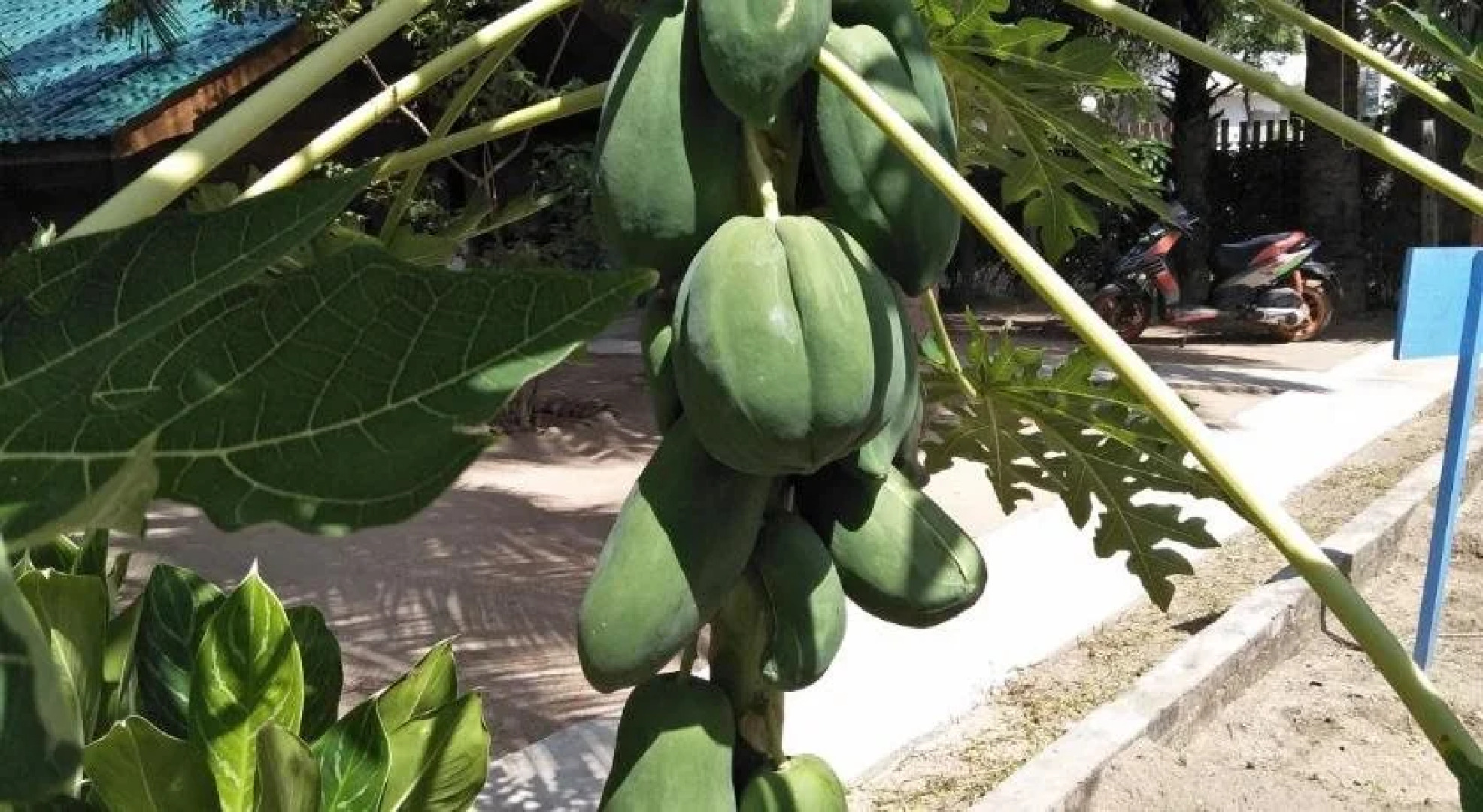 Bella Nilaveli Beach