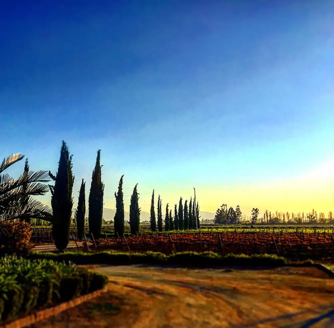 Hotel Viña La Playa