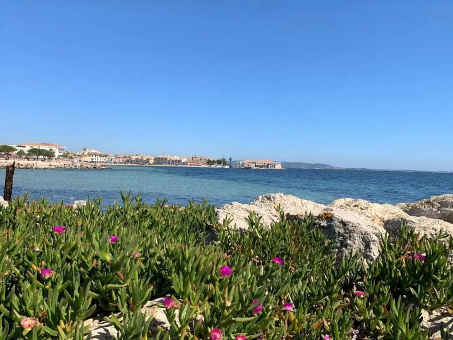 Appartement Mèze, 1 pièce, 4 personnes - FR-1-604-3