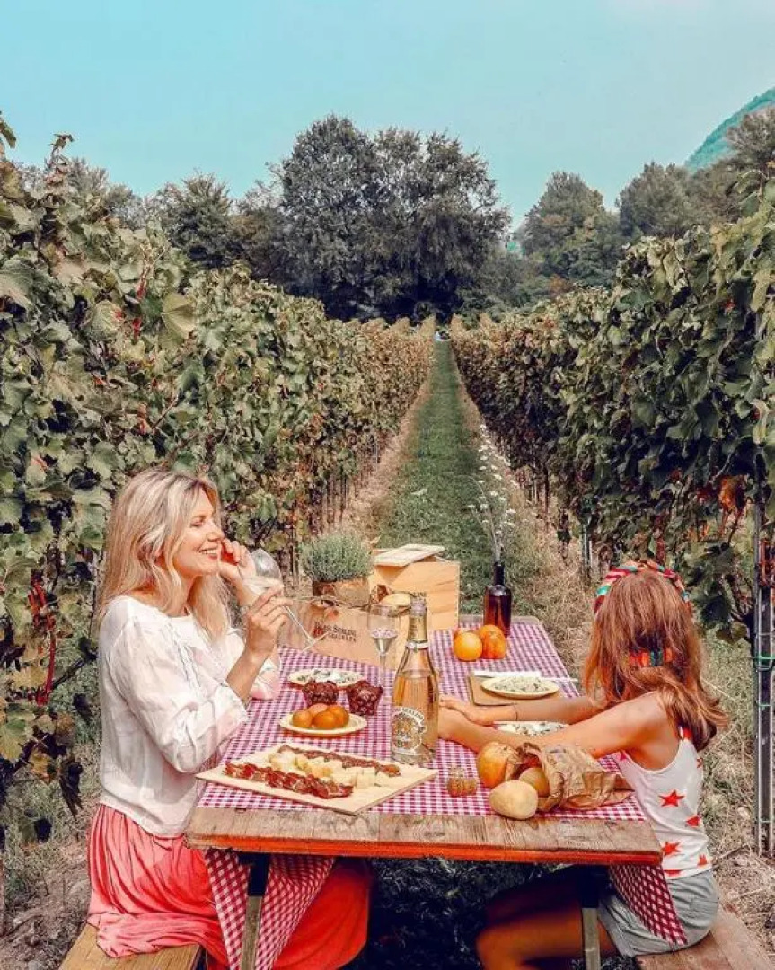 Wine & Lake In Franciacorta