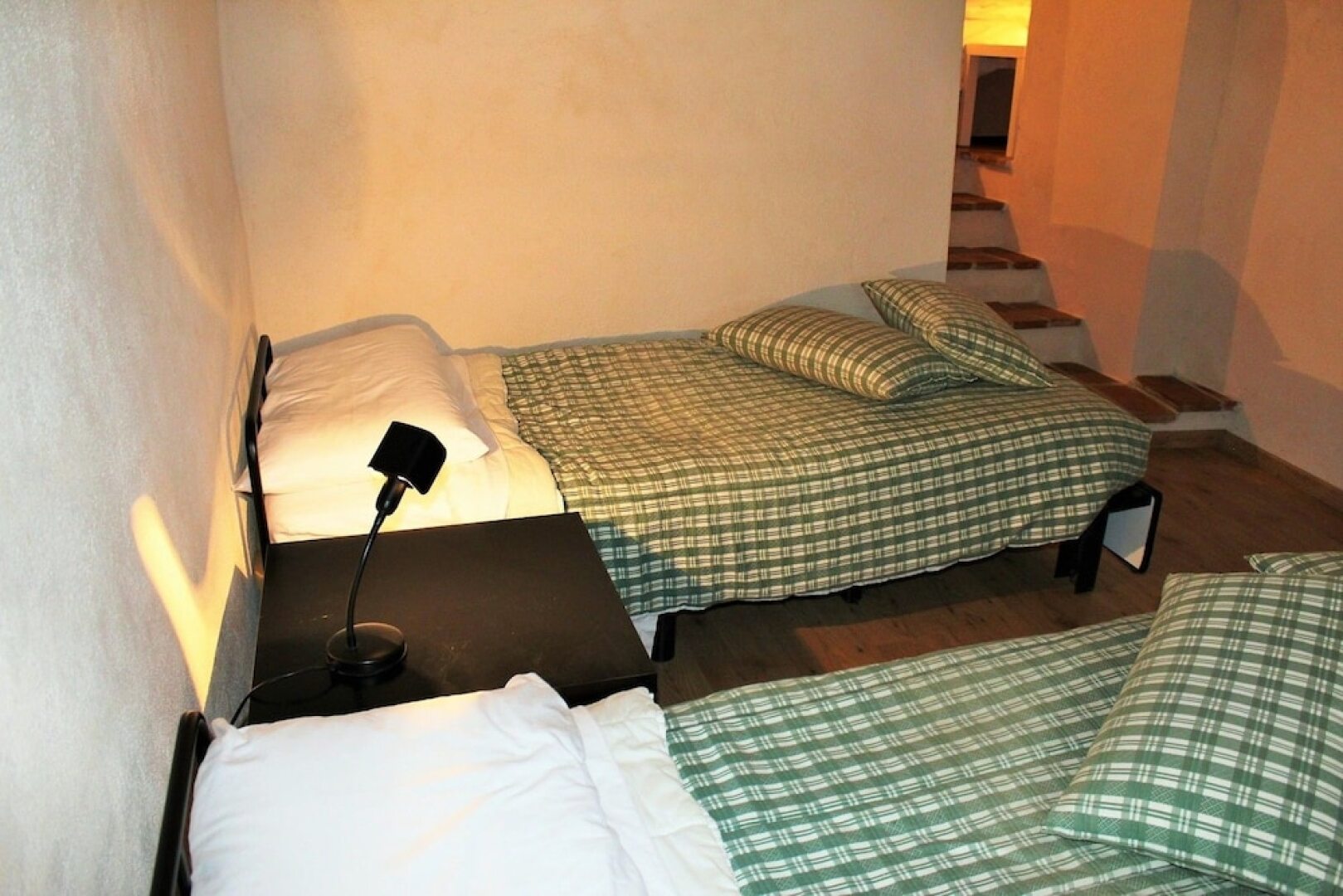 Volpe - Parco Nazionale d'Abruzzo