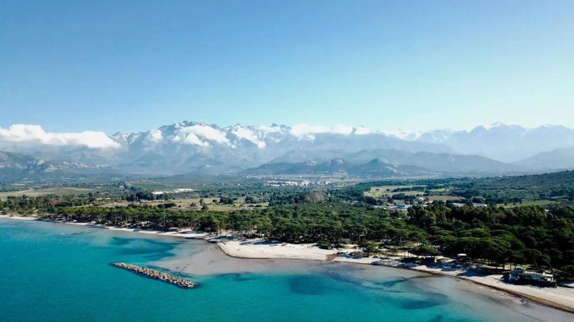 Au pied des oliviers