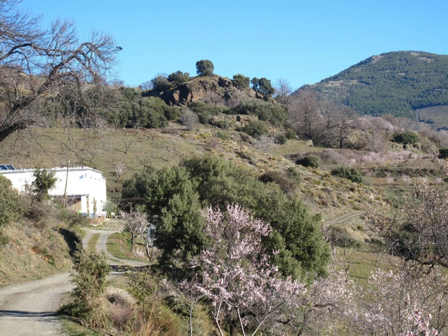 Casa Rural El Paraje de Berchúles