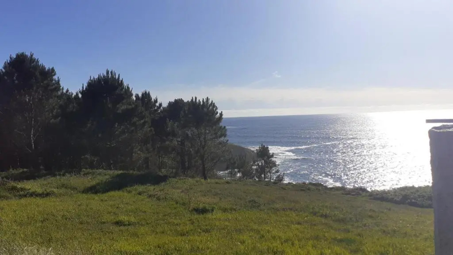 Hostal Restaurante Pinarejo