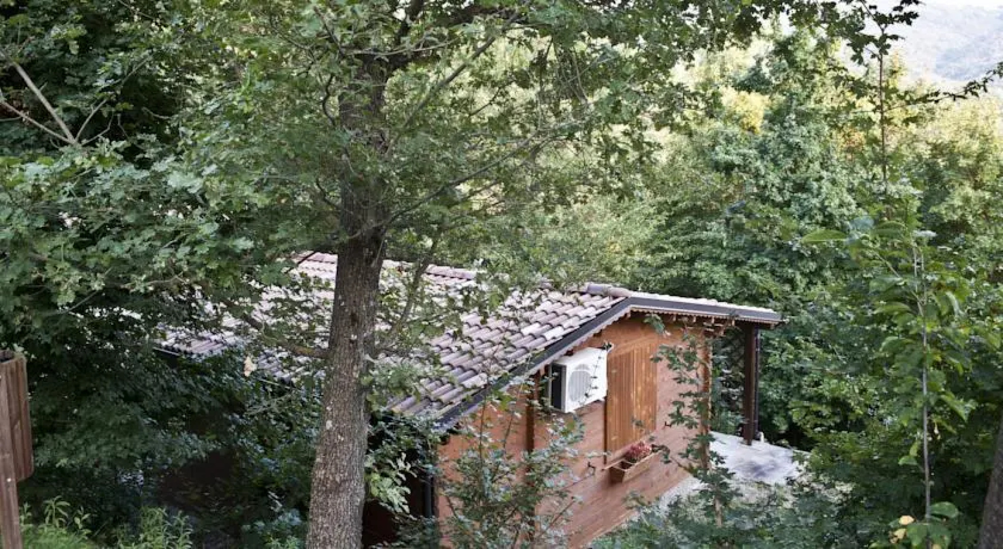 Parco Matildico Di Montalto