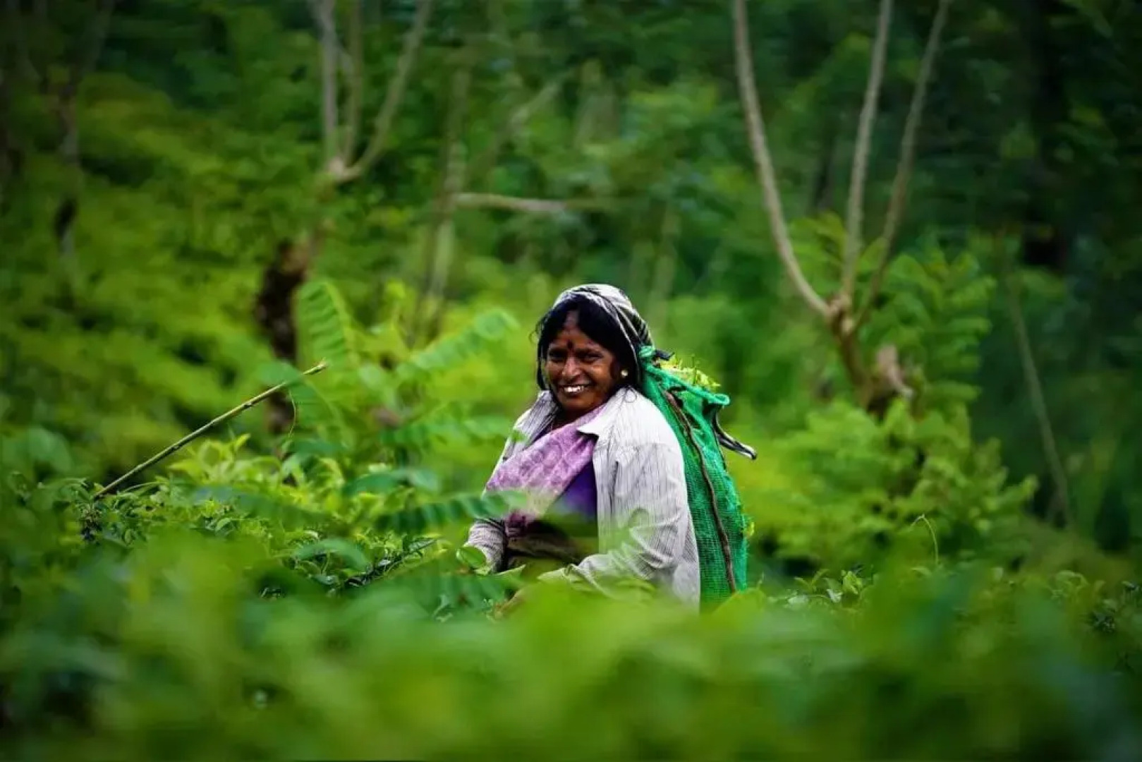 Maskeli Oya Family Park