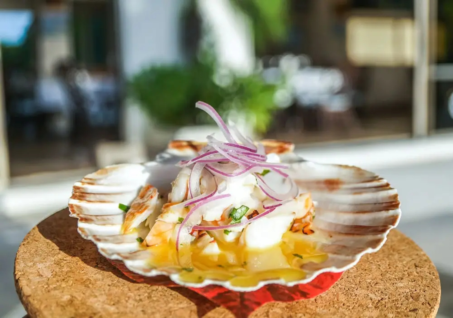 The Meridian Club on Pine Cay