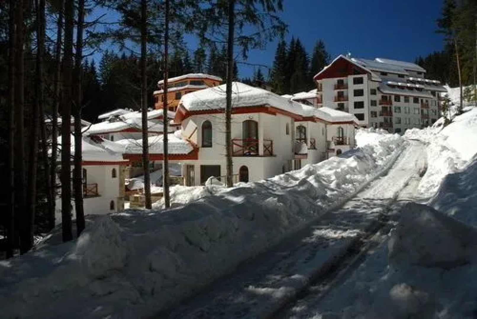 Aparthotel Forest Glade
