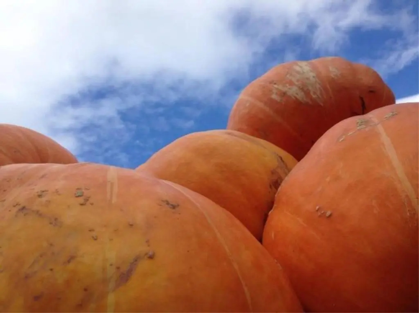 Play All Day - Sleep By The Stream at Night - Swimming Hole