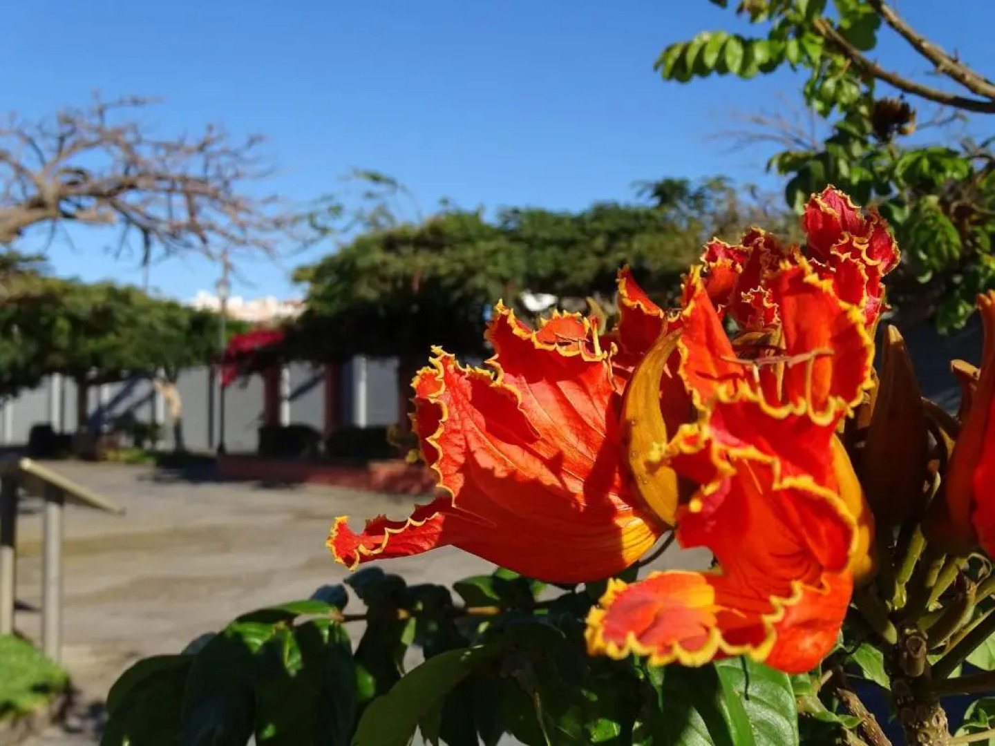 Casa Blanca , nahe am Strand , WiFI frei