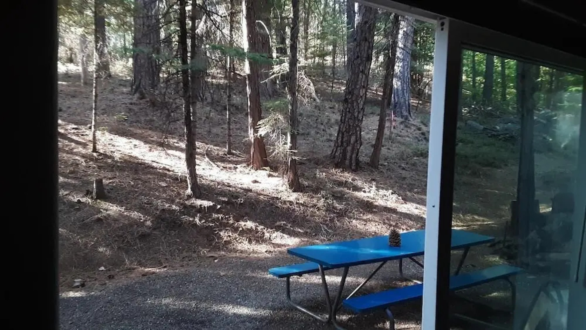 Winterfell - No Hidden Fee; Dog OK; King Bed