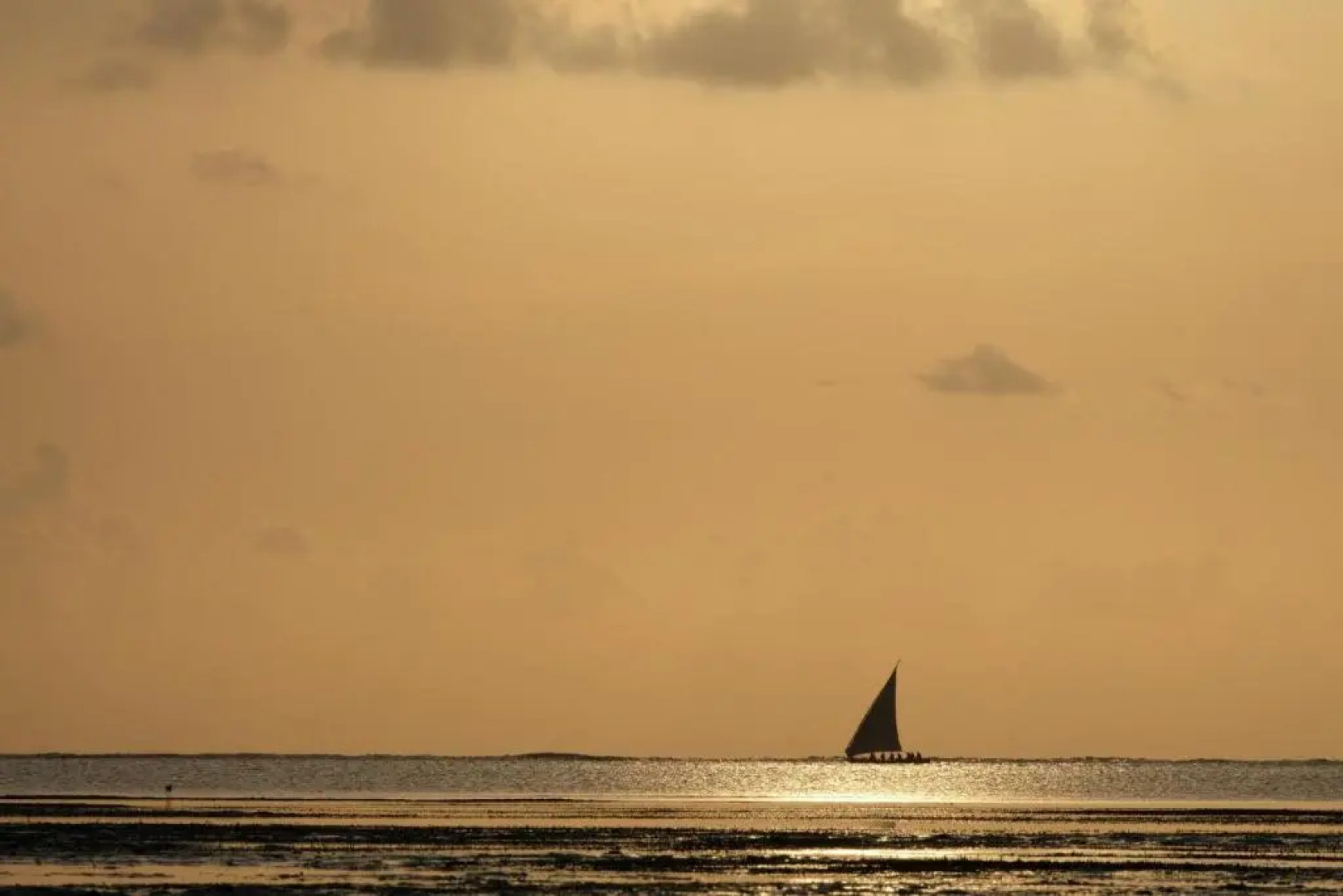 Sharazad Oasis Retreat