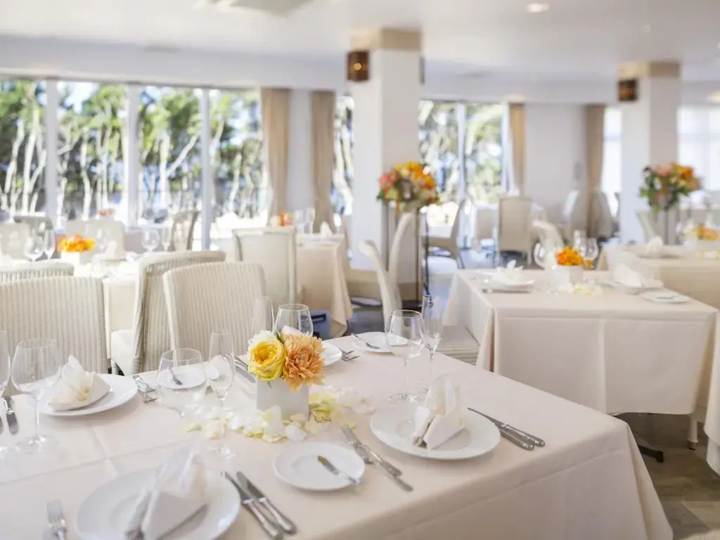 Hotel Holistic Resort