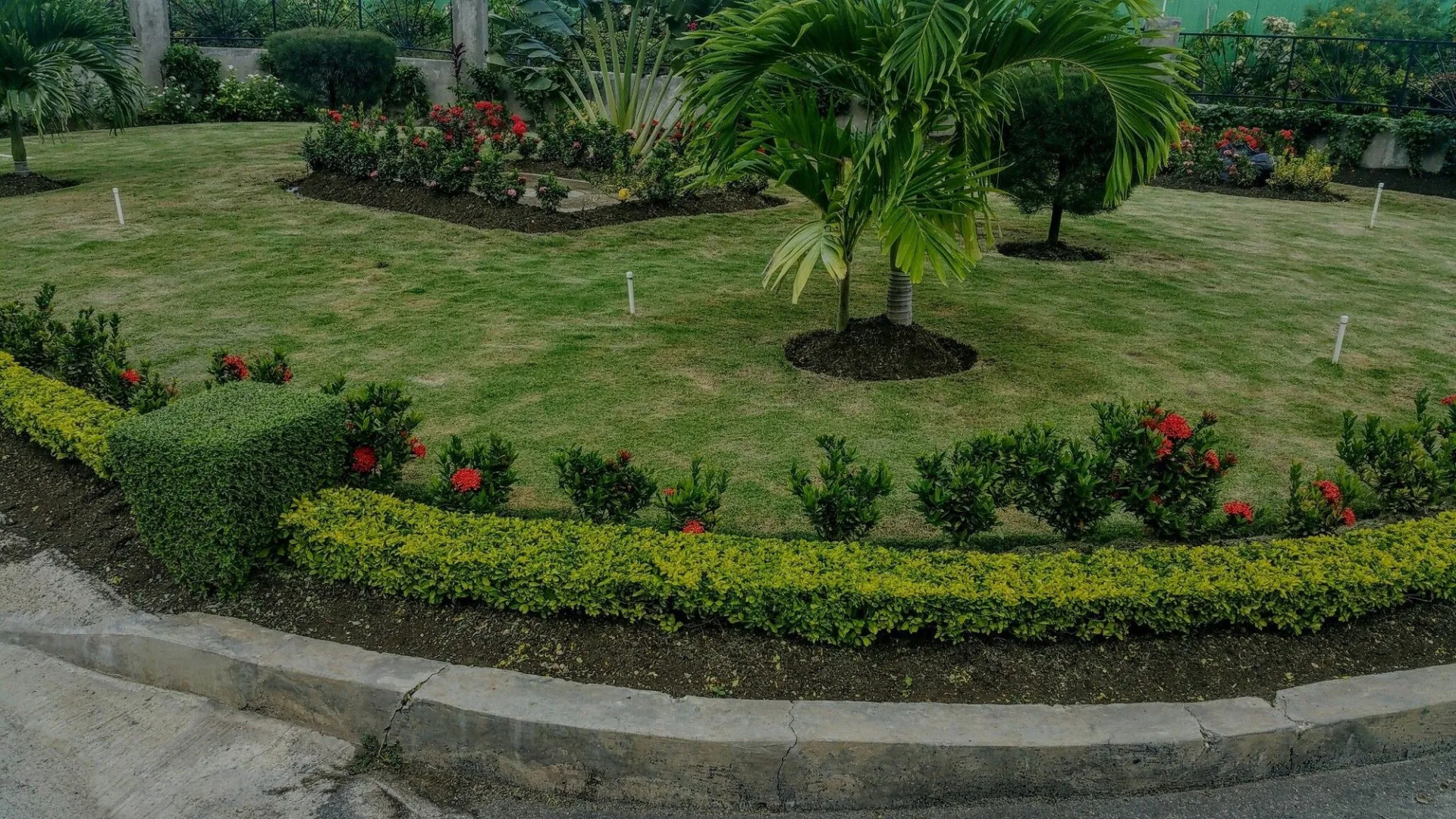 Fern Court Apartment With Oceanic View III