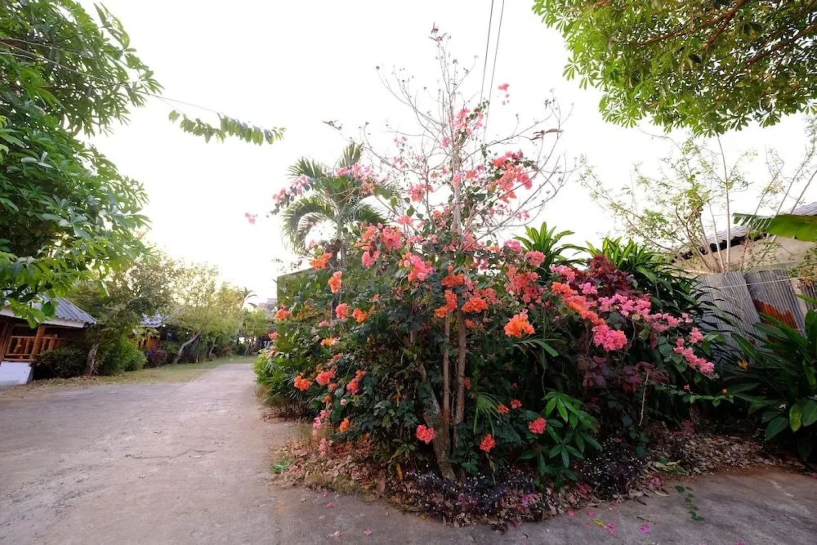 Banputawan Guesthouse