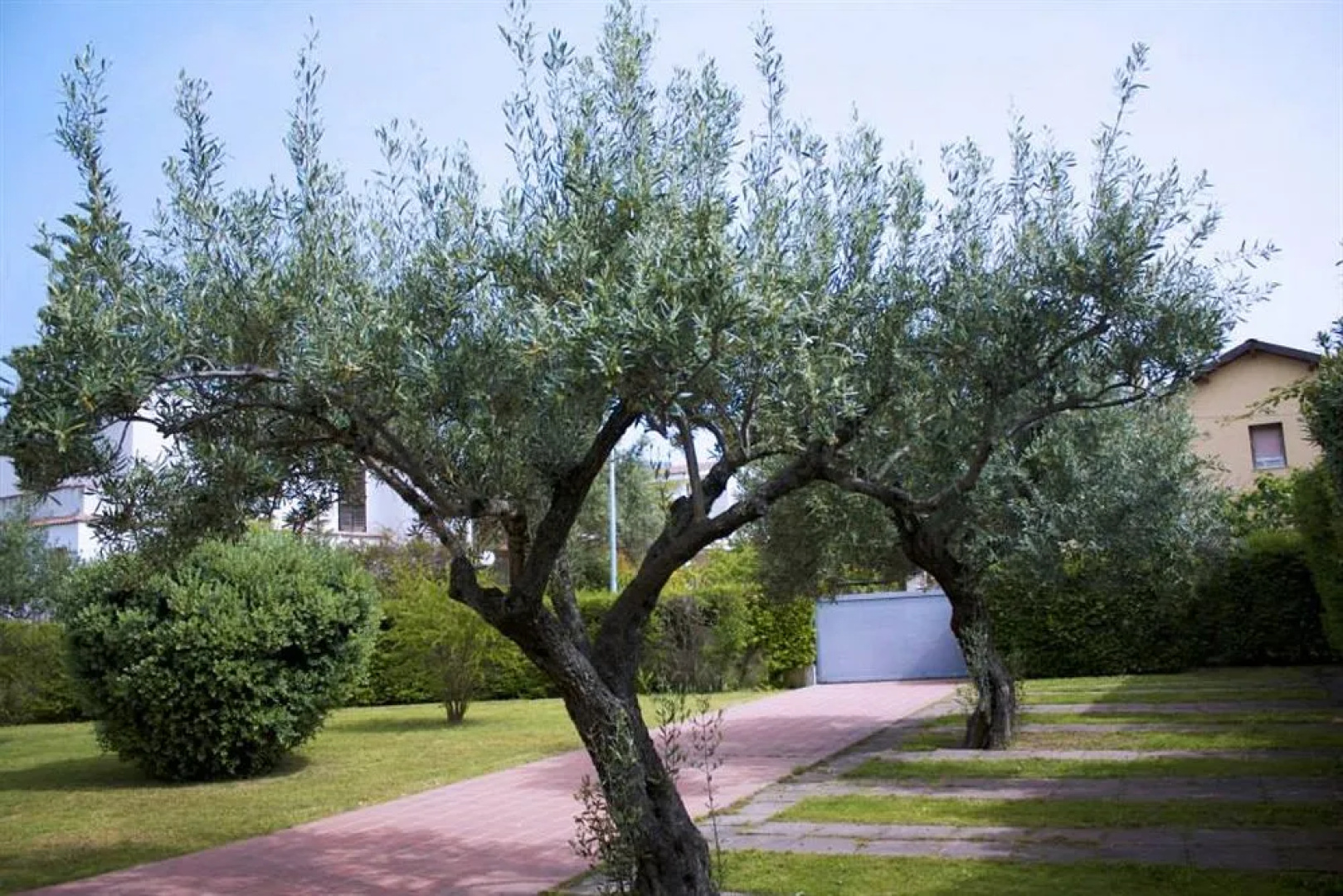 Residence Rivamare