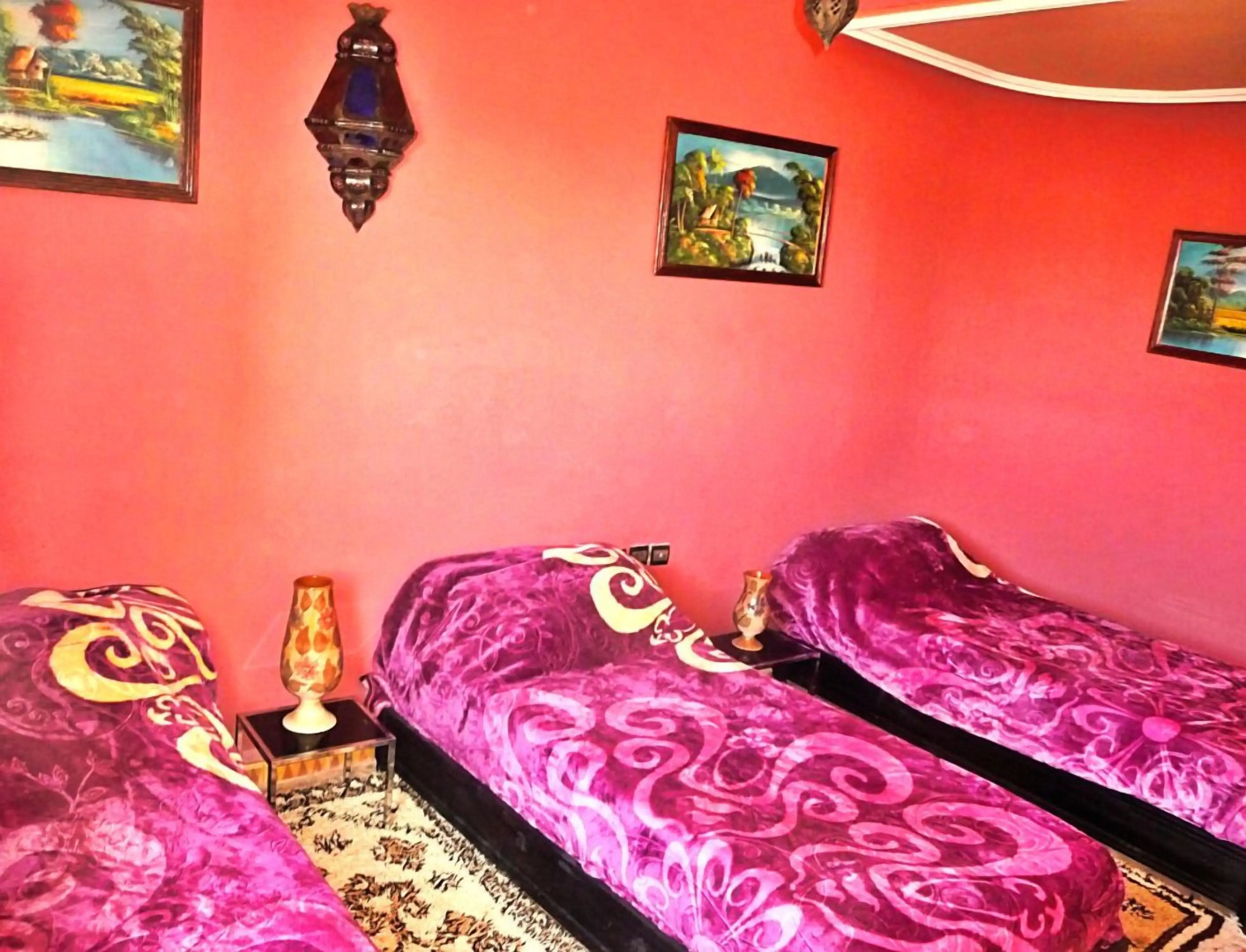 L'Arganier Solitaire