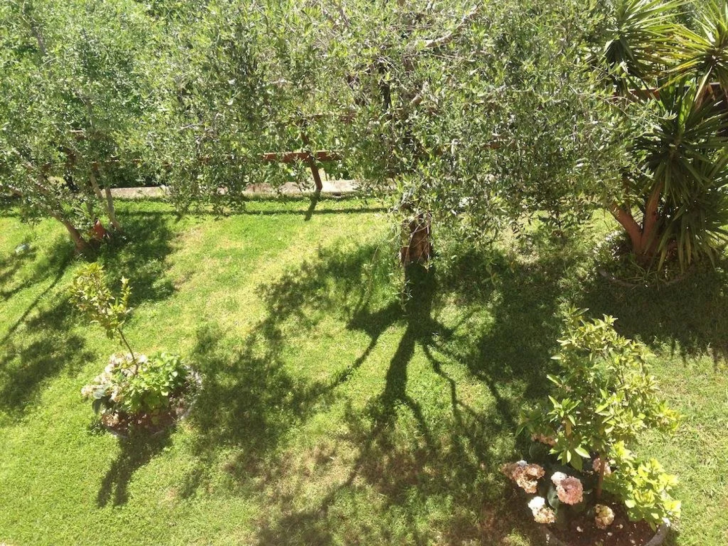 Podere Morucciola