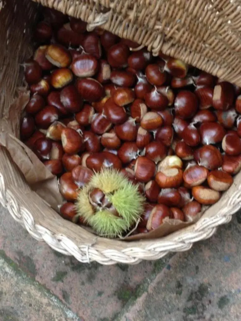 Casavacanze Ciaspole E Uva
