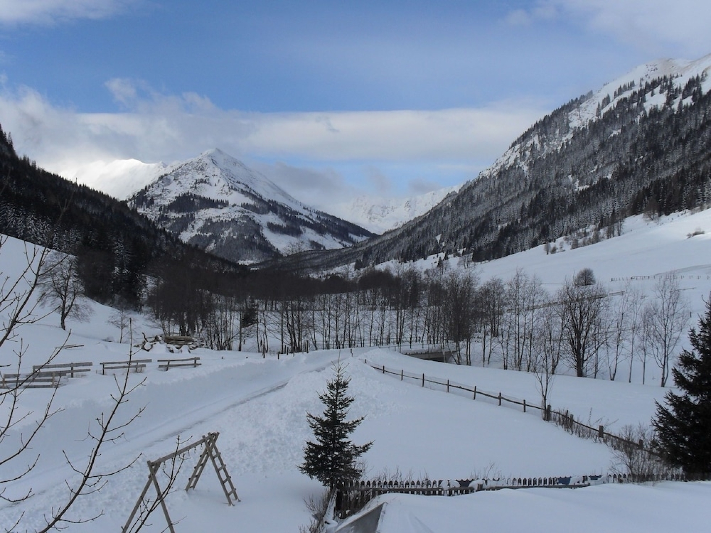 Serene Apartment in Pusterwald Near the Ski Slopes