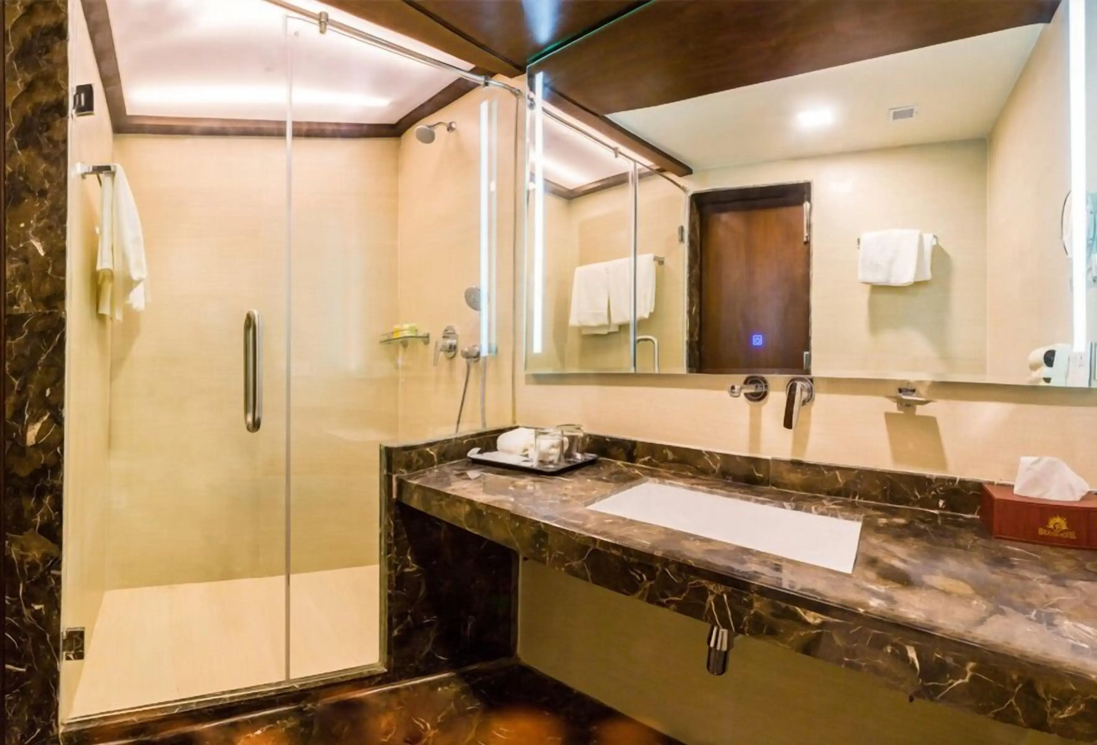 Hotel Bravia Pancheel - By Satguru