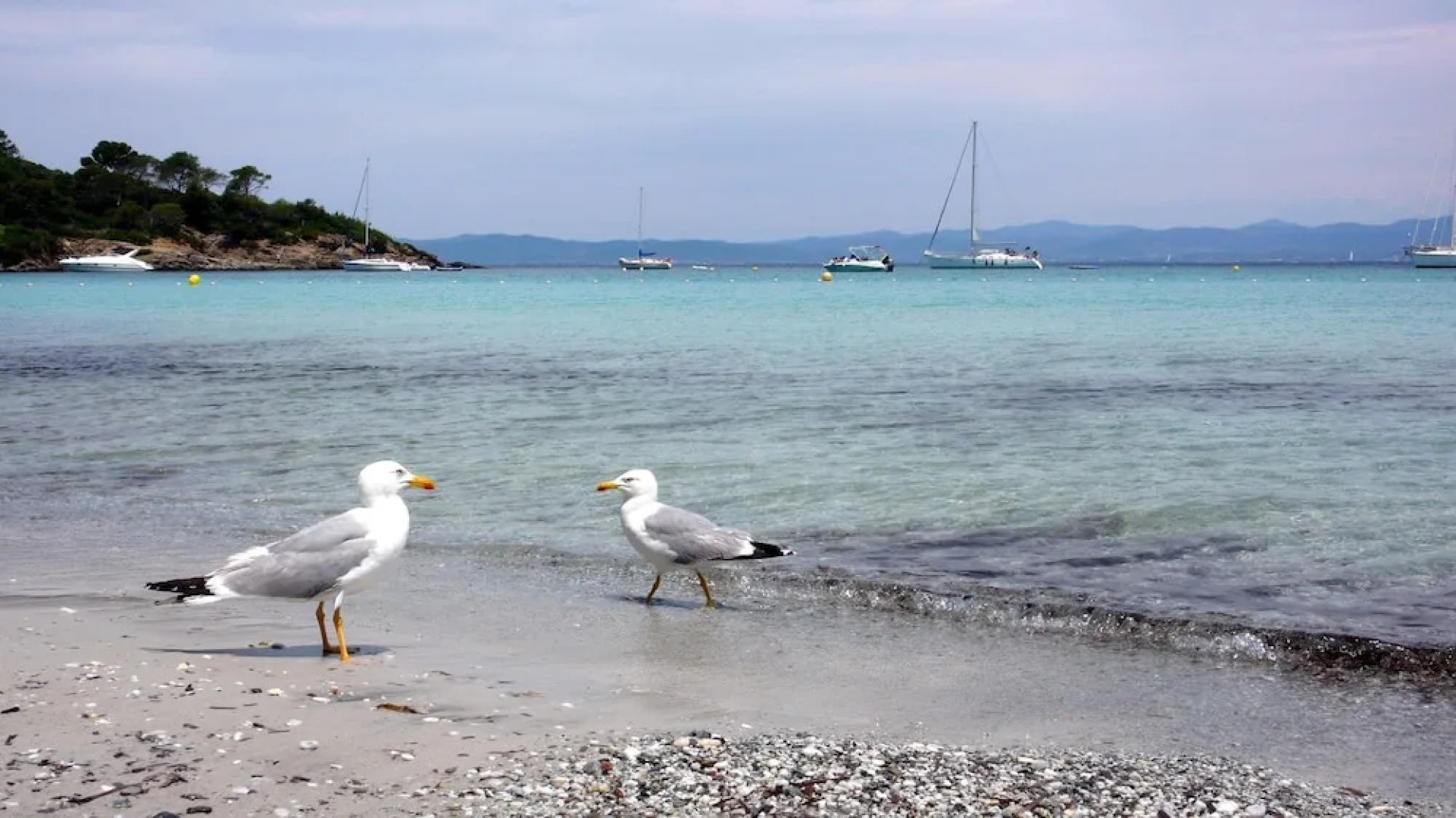 Mansion With 5 Bedrooms in Grans, With Pool Access, Furnished Garden a