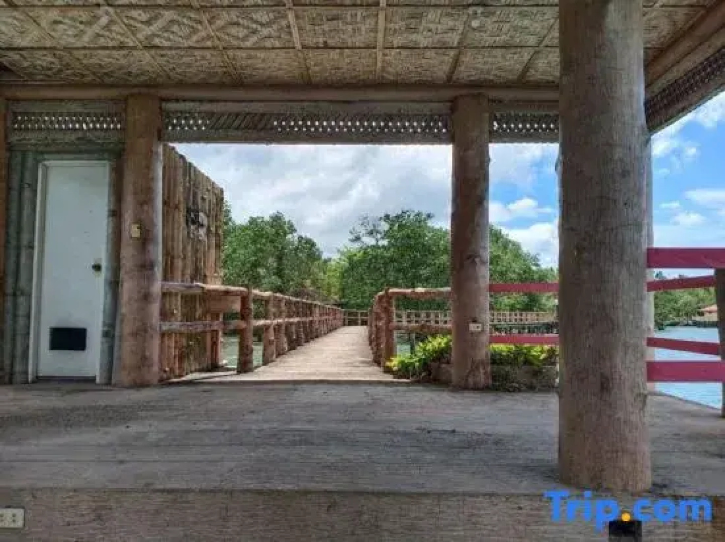 RedDoorz Plus @ Costa Roca Balamban