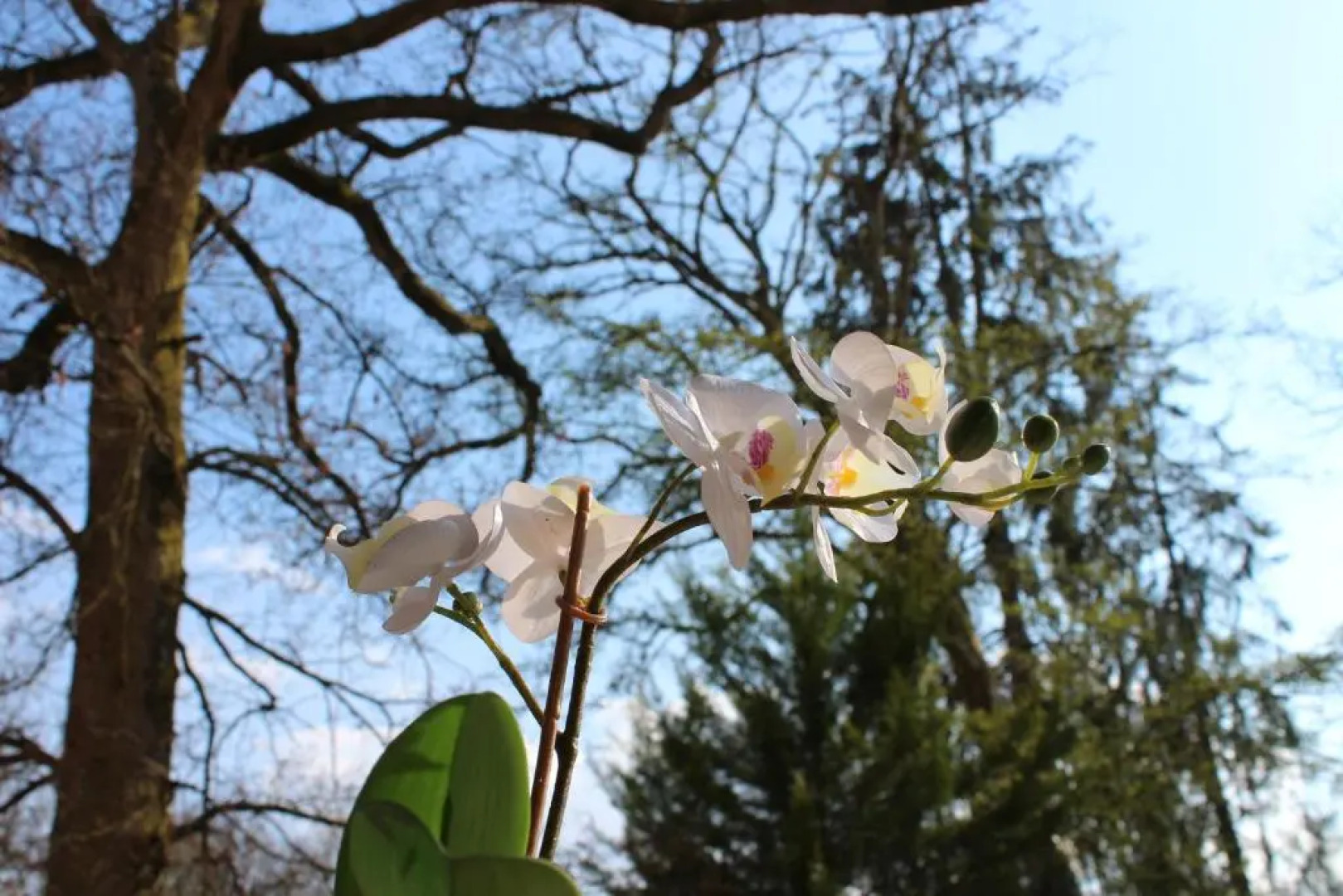 Suites Rive Gauche - MEZZANINE Barbizon Impressionnistes