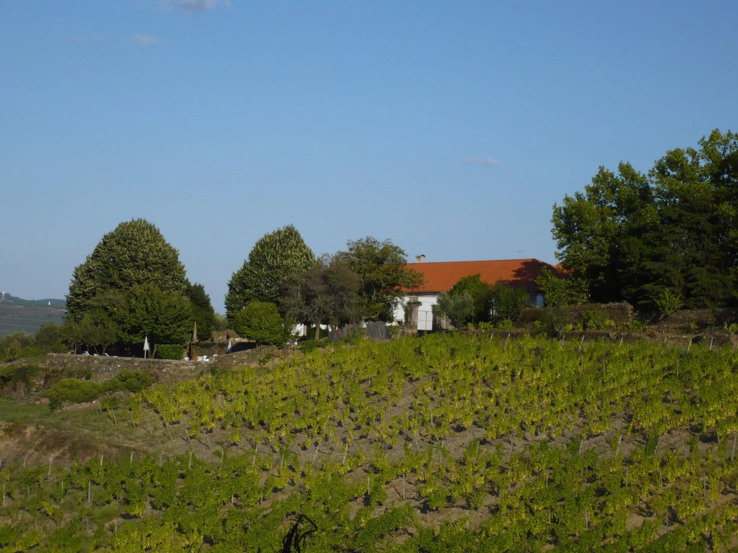 Casa de Vilarinho de São Romão