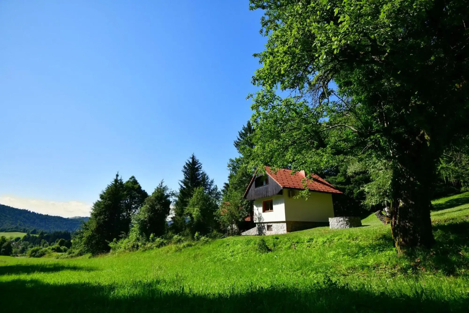 Sweet Stay Forest House