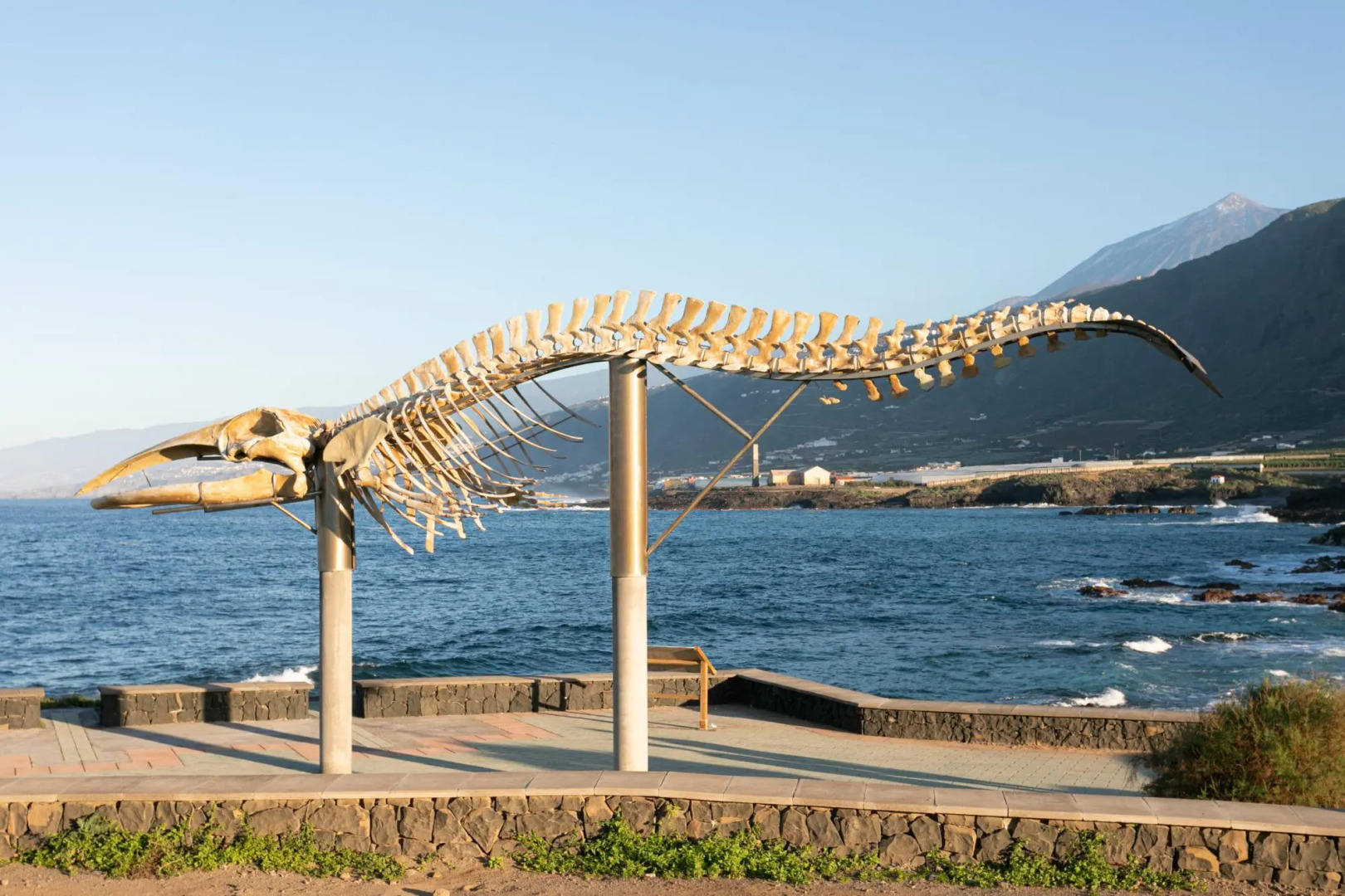 Spectacular Studio Los Silos, Terrace