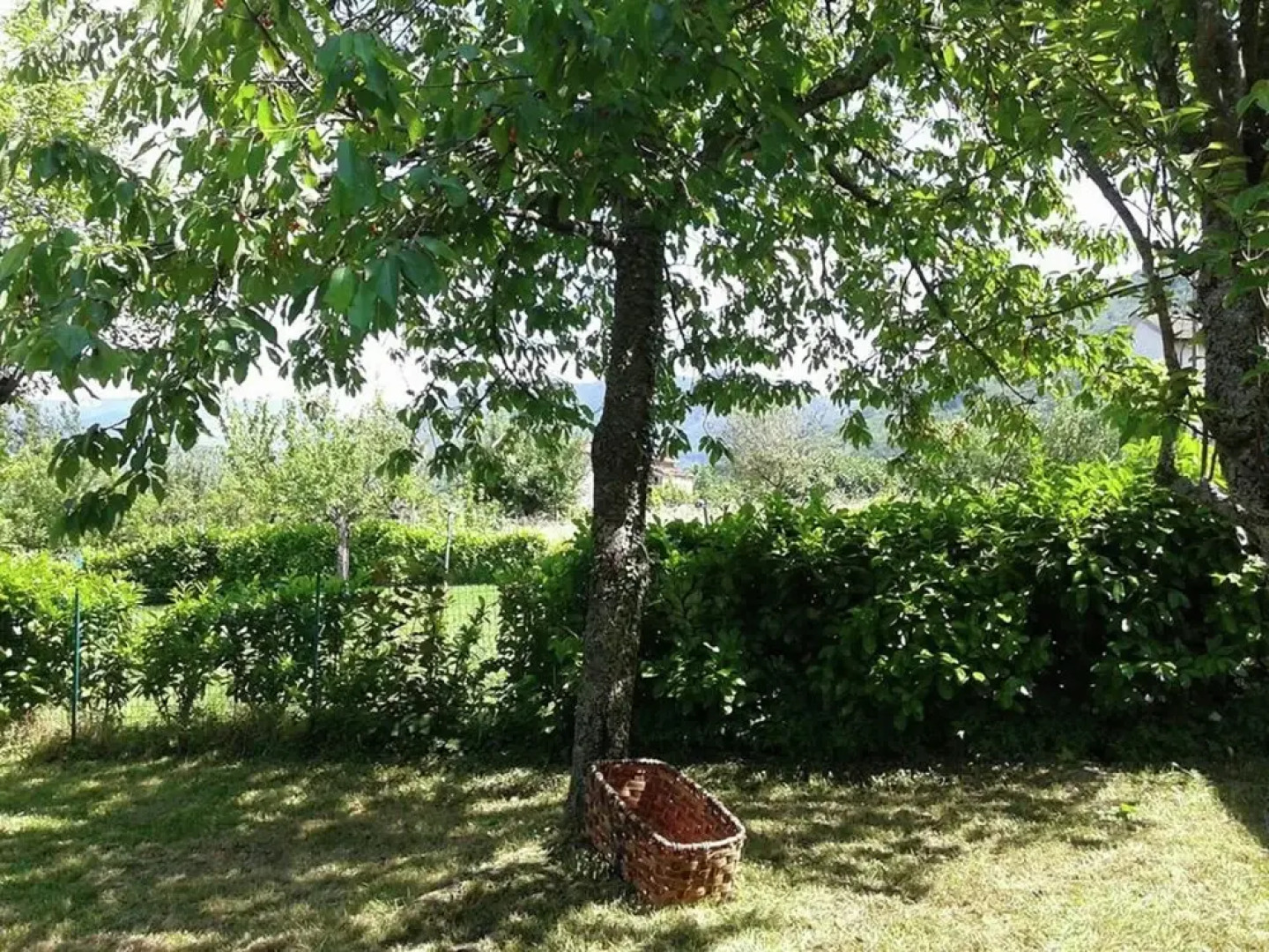 Peaceful Stay With Garden