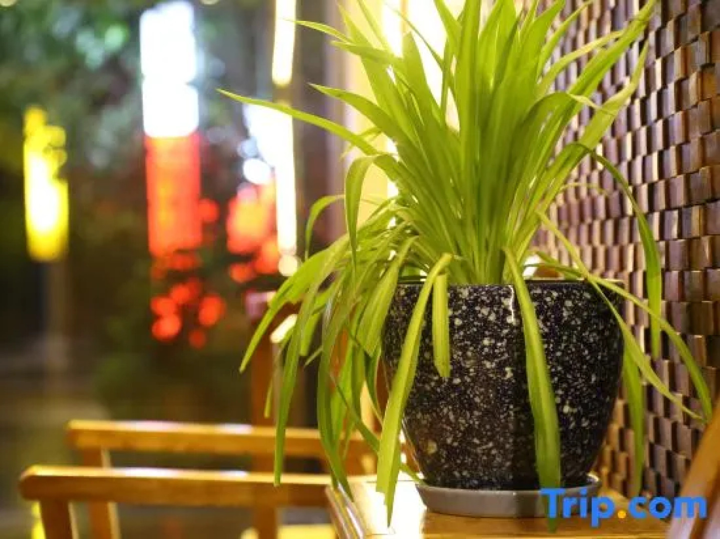 Xinjia Yuquan Hot Spring Hotel